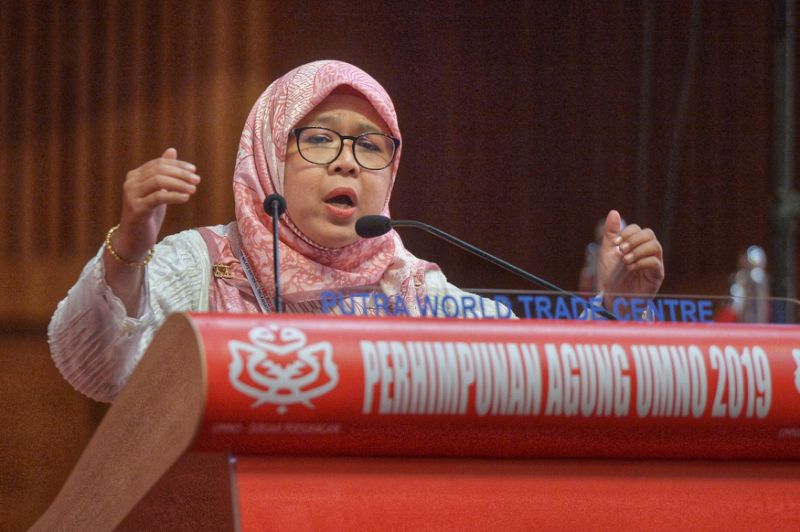 Opposition needs Shadow Cabinet, says Umno delegate