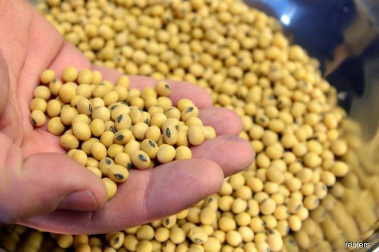 Soybeans stay firm on stimulus moves to curb virus impact