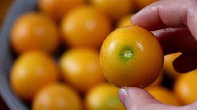 孩子最爱的“止咳丸”，偶尔吃一个，润肺止咳，保你整冬不咳嗽！