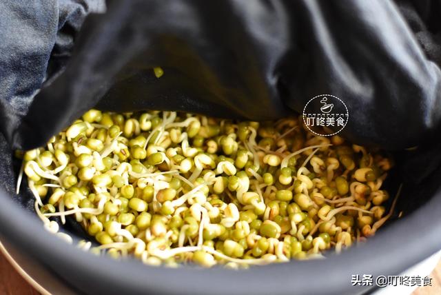 想吃绿豆芽不用买了，自己发特简单，七天就能吃，安全健康无添加