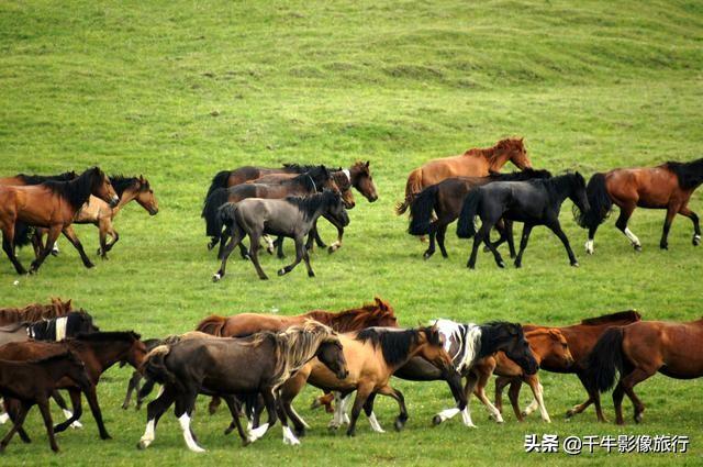 就在6月 新疆最适合自驾的4条优选路书 详细里程规划让你出行无忧