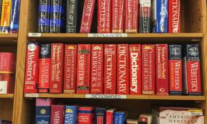 Dictionary chooses gender-neutral 'they' as word of 2019