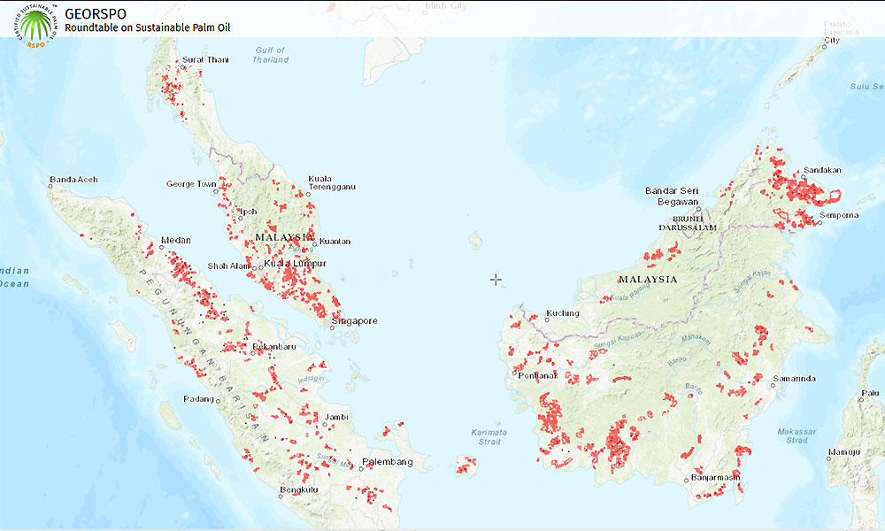 RSPO gets green light to publish oil palm members' concession maps