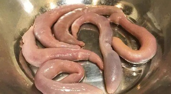 海边人才懂得的“高档海鲜”，大部分人瞧不上，却错过了最鲜美的