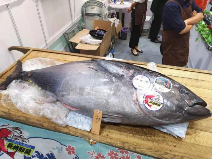 世界上最贵的鱼，日本拍出3亿一条的天价，却被日本人快要吃绝了