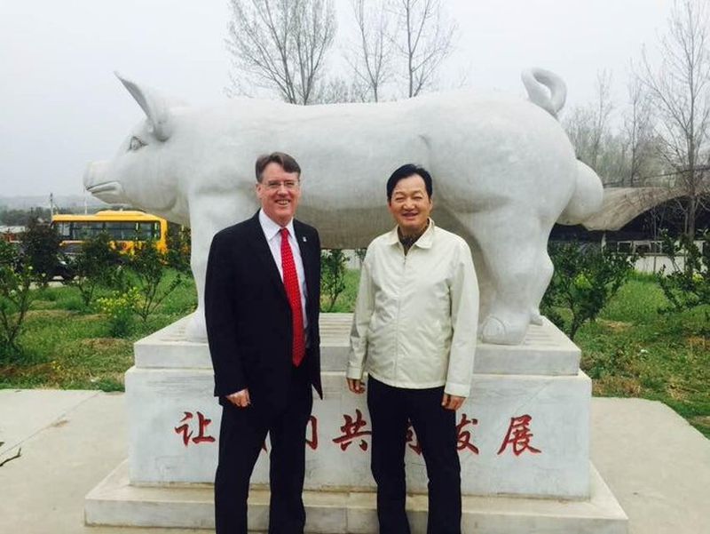 This pig farmer is the world’s fastest-rising billionaire