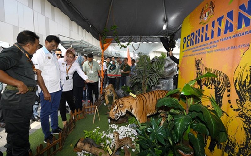 Anti-money laundering law brings hope in fight against wildlife trade