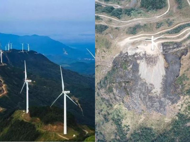 浪漫惹祸 广东情侣放烟花引发山火烧秃网红景点