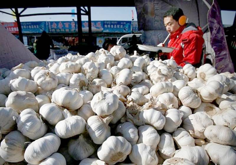 Thai garlic farmers suffer as cheaper Chinese bulbs flood the market