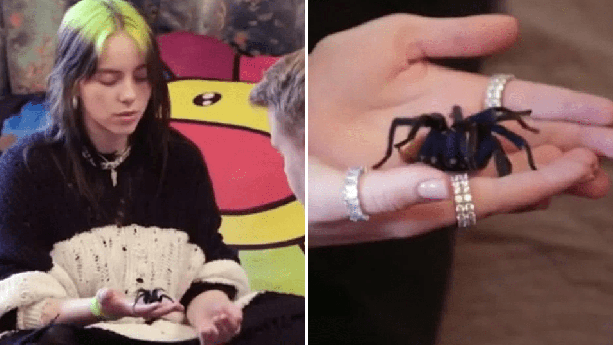 Billie Eilish makes James Corden hold pet spider during Carpool Karaoke