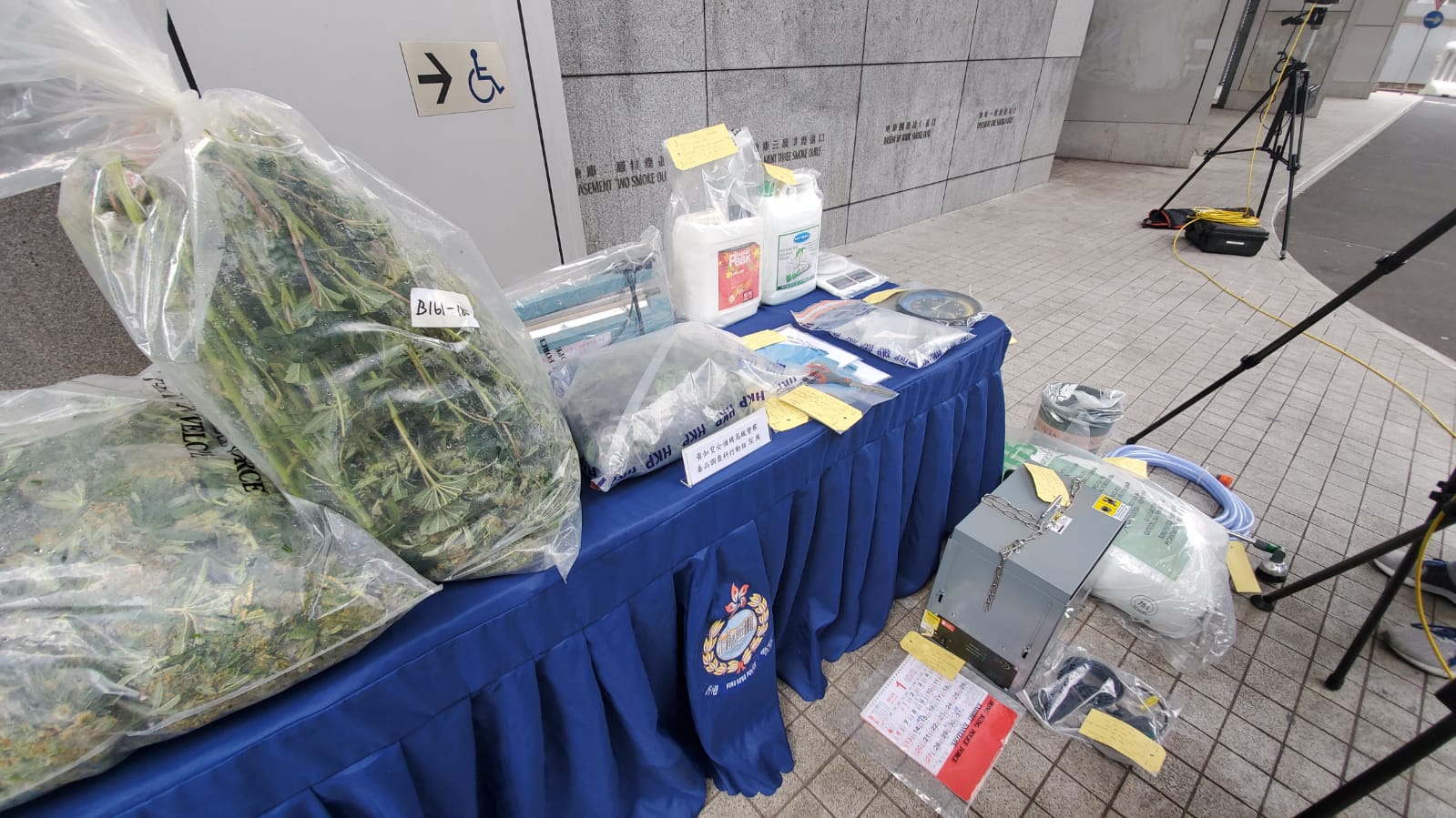 警破两大麻种植场检近3000万元大麻 4男被捕
