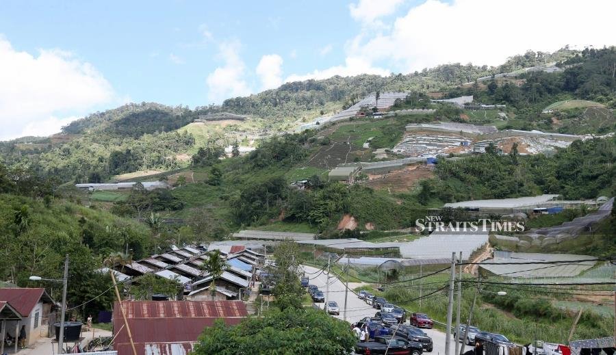 'Efforts to curb Cameron Highlands land encroachment complied with law'