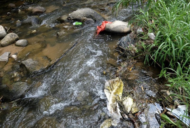 DAP rep accuses Pahang govt, BN lawmakers of misleading public on Sungai Ichat operation on farmers