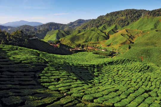 Cameron Highlands safe to visit, assures Malaysian police