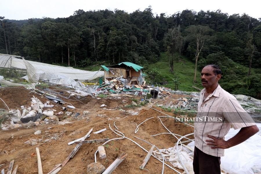 Evicted Cameron Highlands farmers seek alternative site