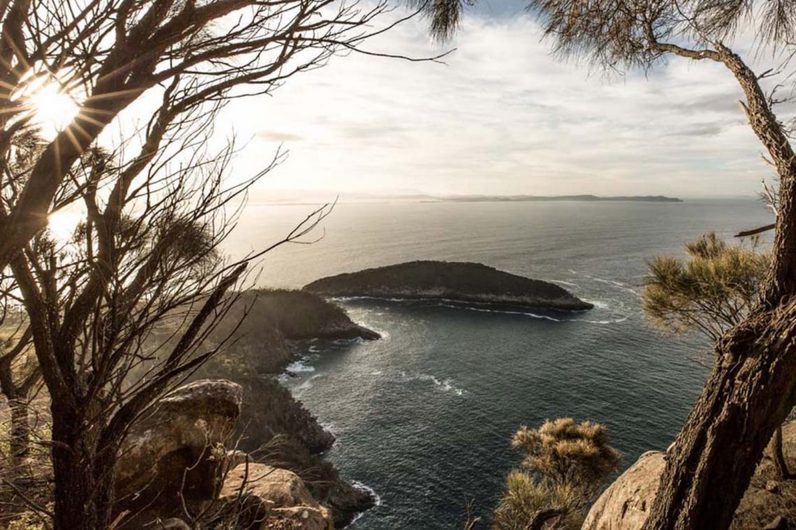 Australia's Antarctic gateway Tasmania gets hotter than tropical north
