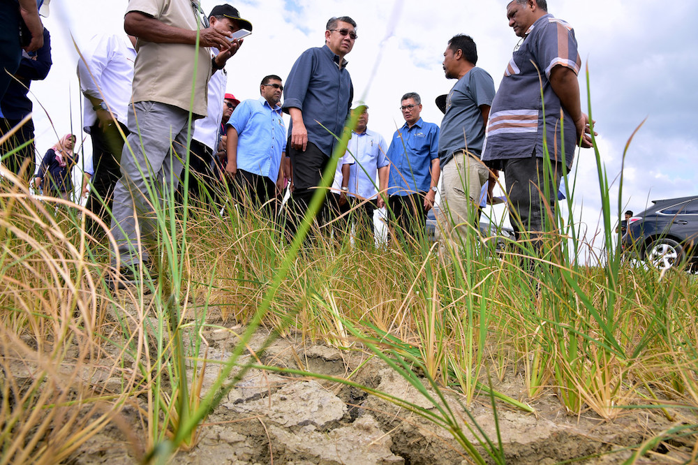 Salahuddin: Agriculture Ministry to fast-track aid to drought-hit paddy farmers in Perlis, Kedah