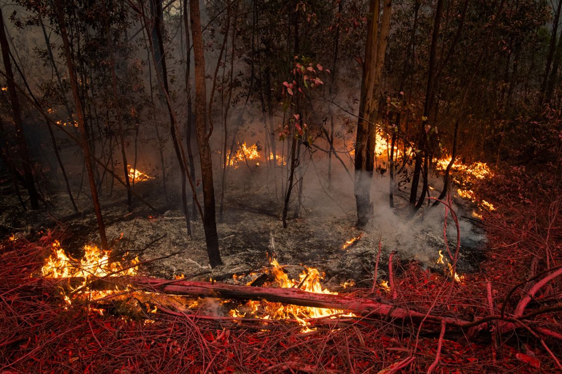Australia's wildfire crisis: Key numbers behind the disaster