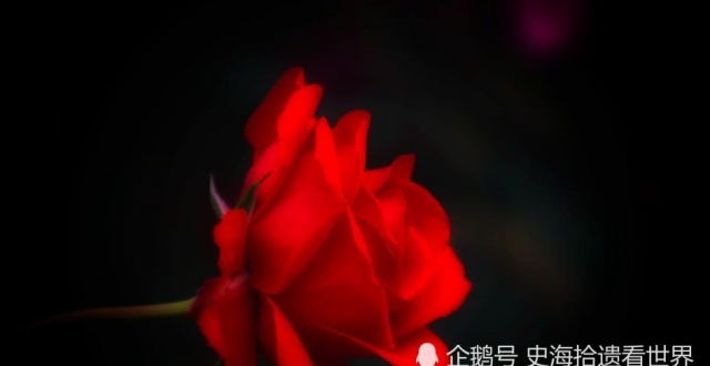 1月6号起月老牵红线，桃花缠身，顺利脱单，好运不断的3大生肖