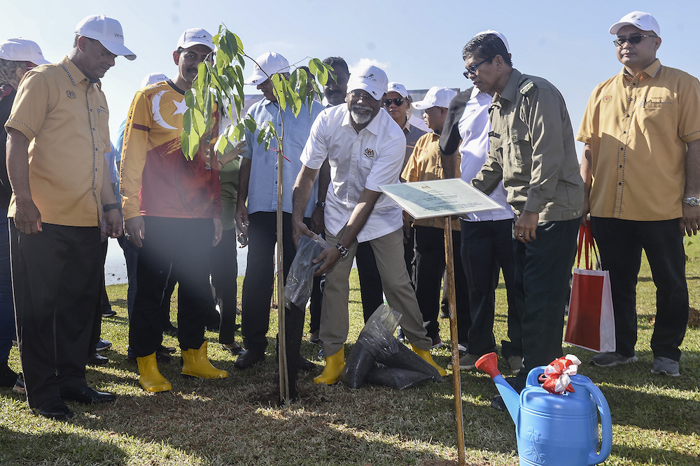 Minister says over 270,000 trees planted nationwide in past year after jungles cleared