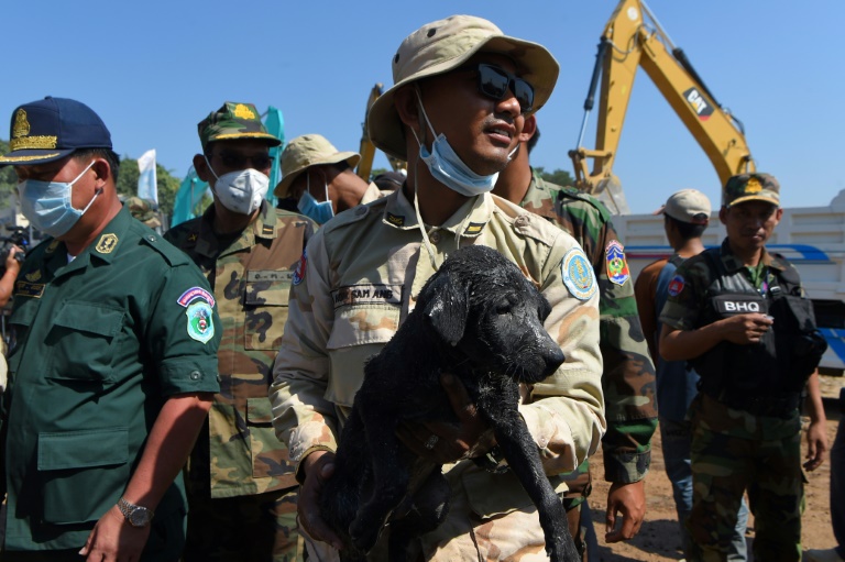 Cambodia building collapse death toll hits 36 as rescue called off