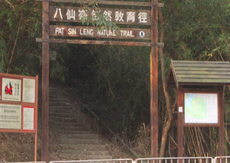 About 10 hikers suffer bee attack on popular Hong Kong hiking trail