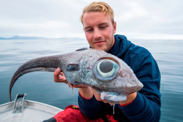 'Tuna King' forks out £1.4m for giant fish weighing more than a pig