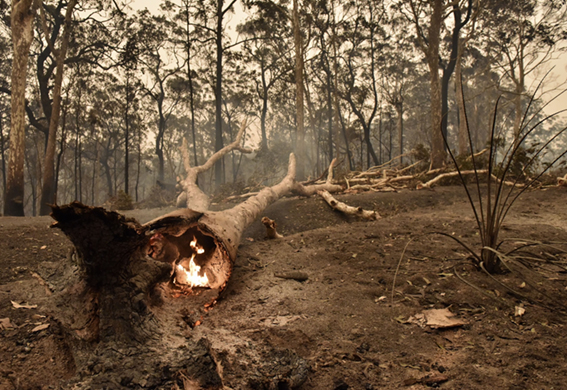Malaysia stands by Australia in wildfire efforts, says MITI