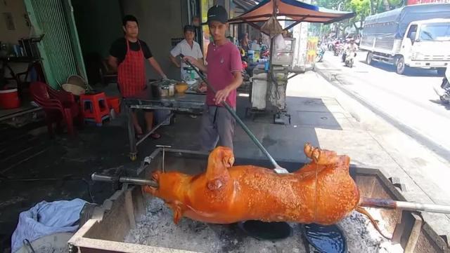 去越南吃“烤乳猪”，1200元一只没忍住买了切开后：这谁敢吃？