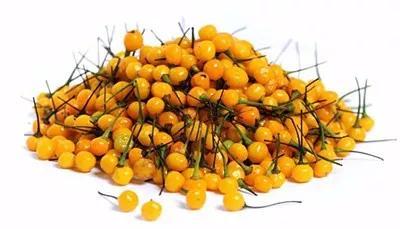 全球最贵辣椒！每斤11万！土豪也不敢随便吃！