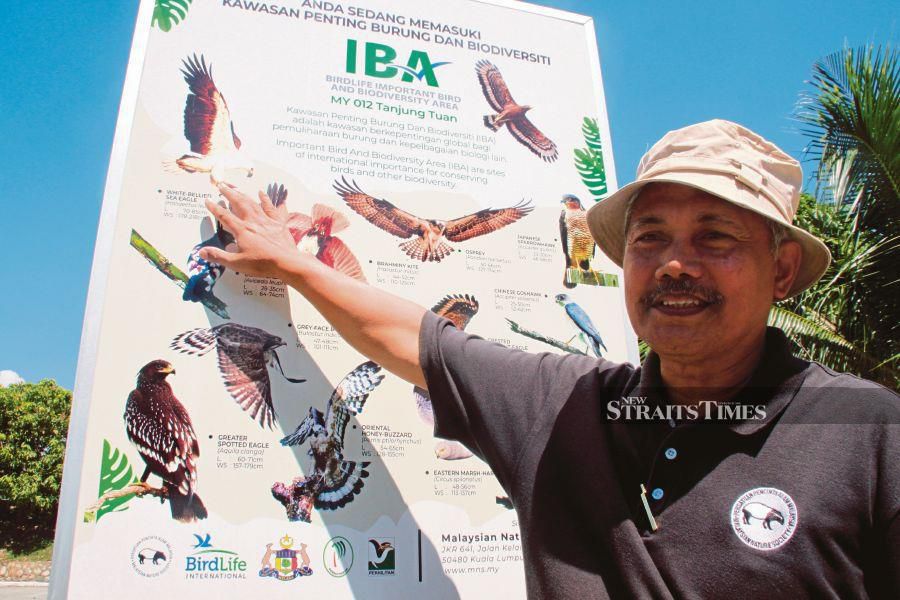 Call to preserve Tanjung Tuan Forest Reserve for migration of predatory birds