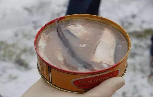 假如给你20万，半年内只能吃“这4种”食物，你愿意吗