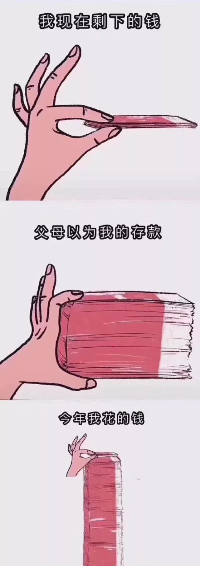 这个网友的新年计划什么水平？
