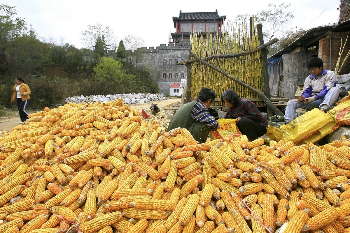 China suspends national roll-out of ethanol mandate, likely reducing need for US import purchases