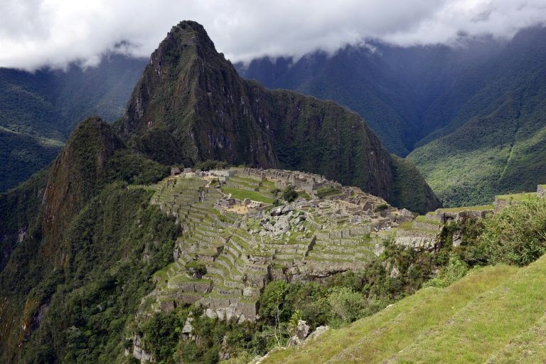 Peru to plant one million trees around machu picchu