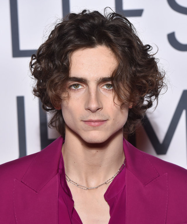 Timothée Chalamet Grew Some Facial Hair