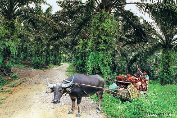 Special Report: The future of agriculture is in technology and innovation