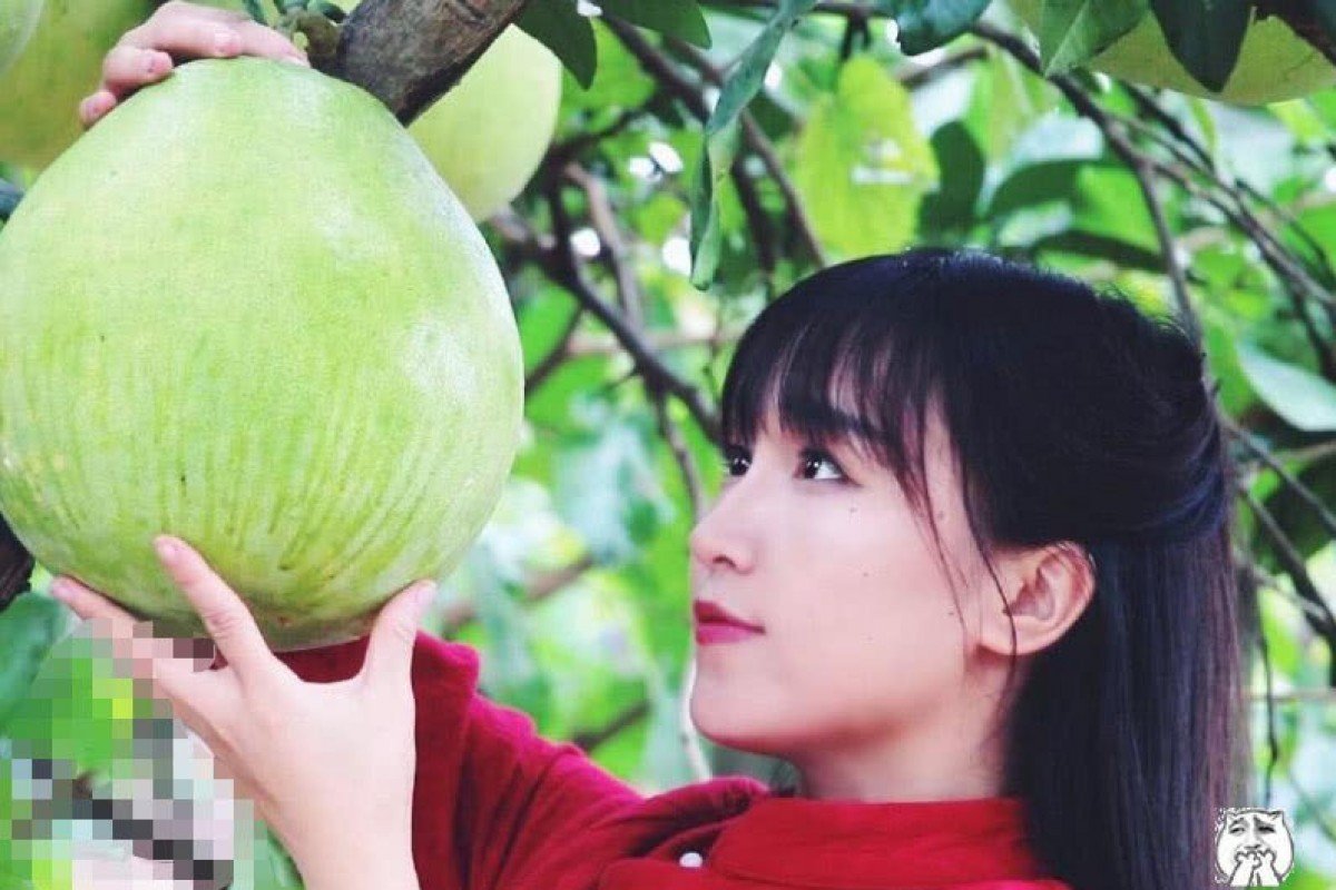 Chinese YouTube star Li Ziqi dismisses claim she makes US$24m a year