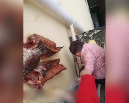湖北妈妈为捡鱼手拉男童阳台外 网民：鱼才是亲生的？