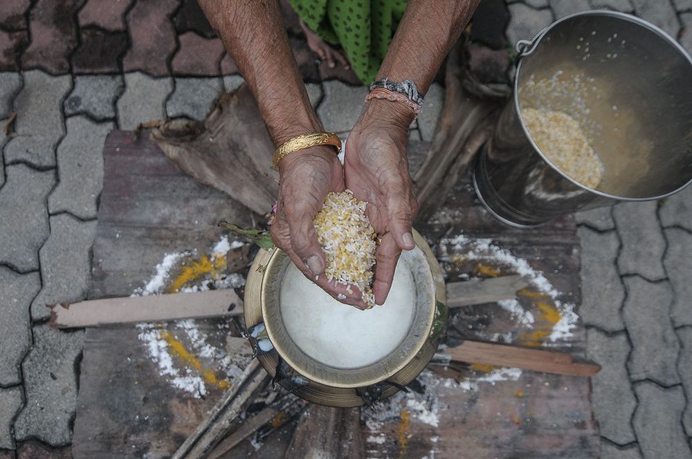 Ponggal festival marks a new dawn for Tamil community