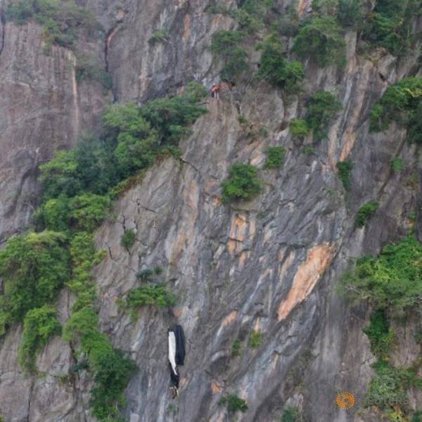 Hanging around: BASE jumper saved from Thai cliff after parachute snags
