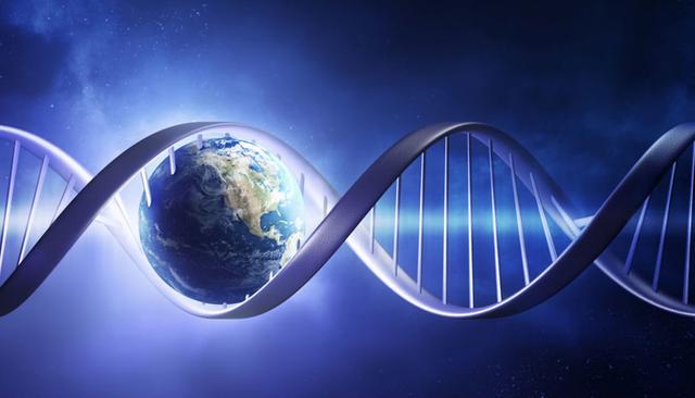 为什么地球生命都是碳基生命？其他星球上有硅基生命吗？