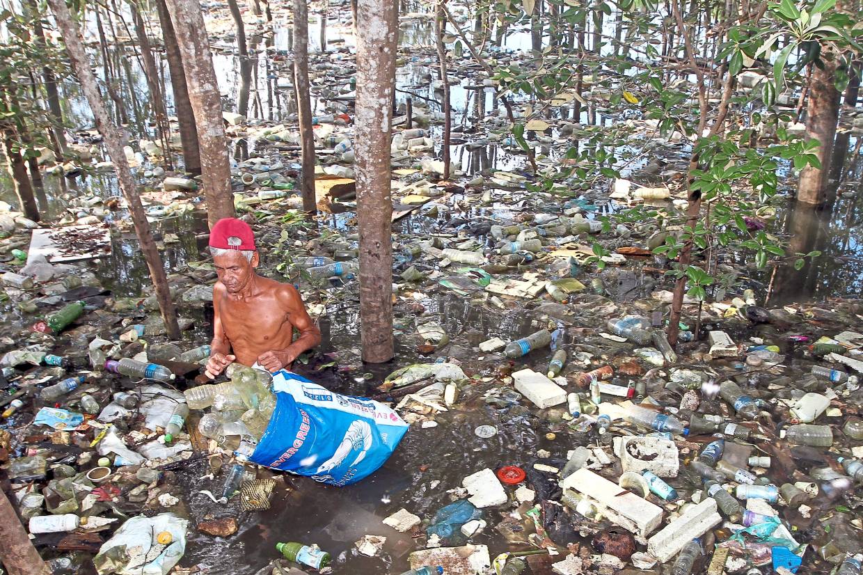 Advocate single-stream recycling to get more public participation