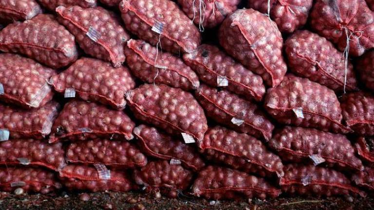 Onions cannot prevent the spread of influenza