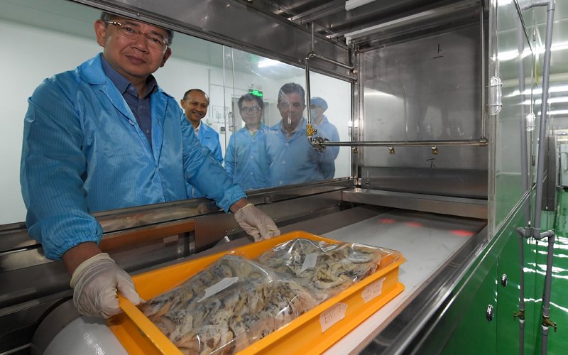Export of swiftlet birds’ nests to soar to RM1.5 bil