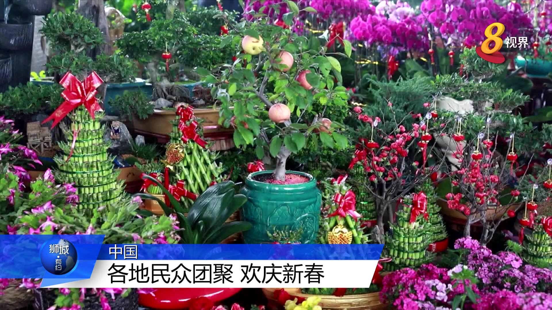 中国各地年味十足 到处洋溢团圆欢聚节庆气氛