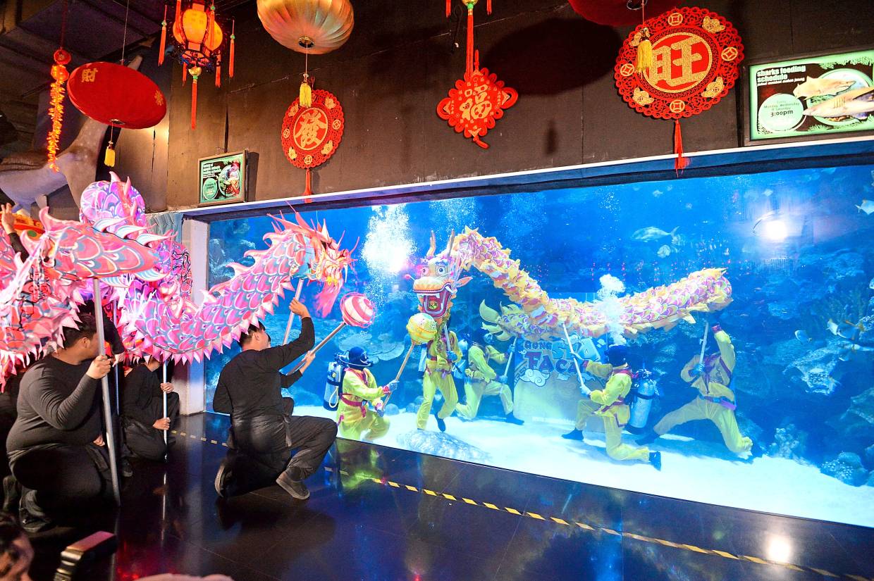 Dragon dance unlike any other