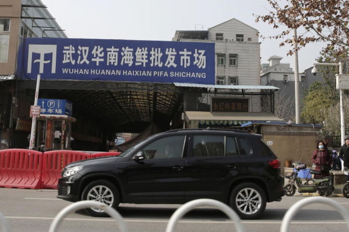 Wuhan virus: Rats and live wolf pups on the menu at China food market linked to virus outbreak
