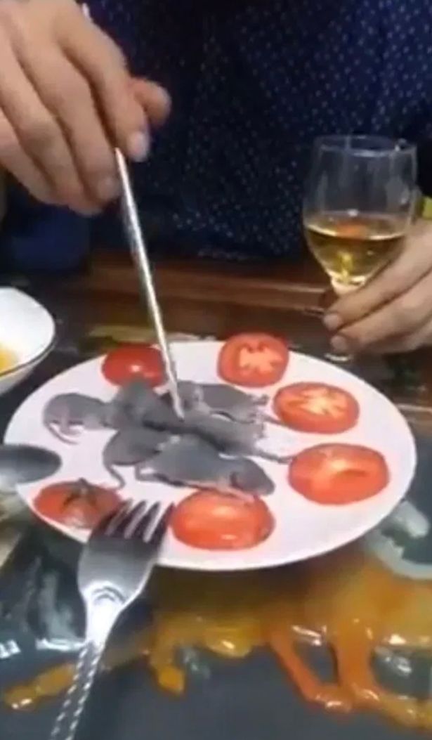 Disgusting video of man eating newborn mouse with a pair of chopsticks