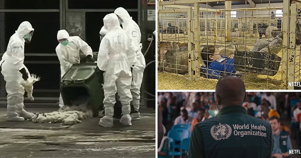 Netflix’s Pandemic dismissed as ‘flu’ documentary weeks before coronavirus outbreak despite frank warning